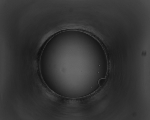X0000093091501200710031428