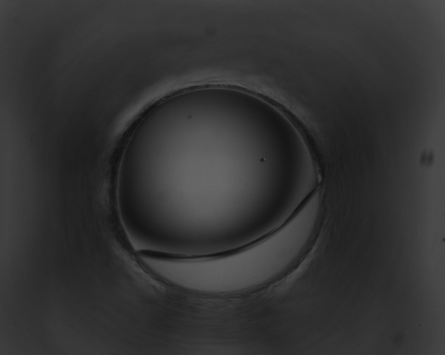 X0000093091502200710031428