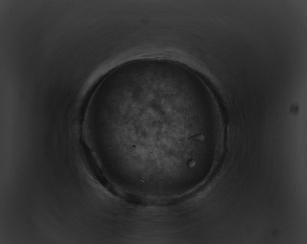 X0000093091506200710031428