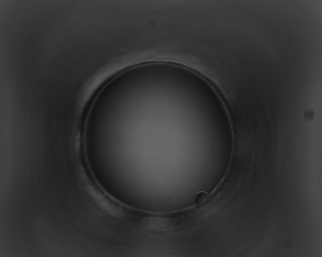 X0000093091511200710031428