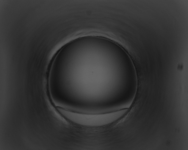 X0000093091518200710031428