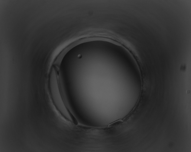 X0000093091520200710031428
