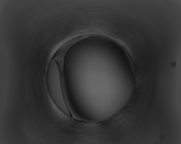 X0000093091524200710031428