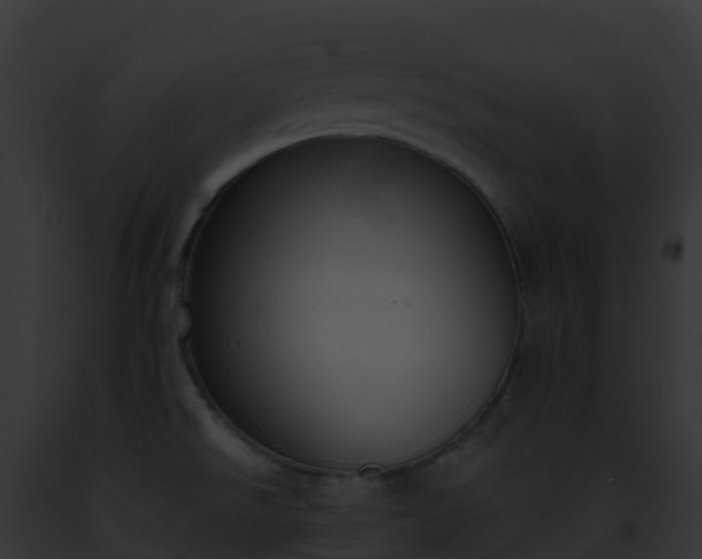 X0000093091526200710031428
