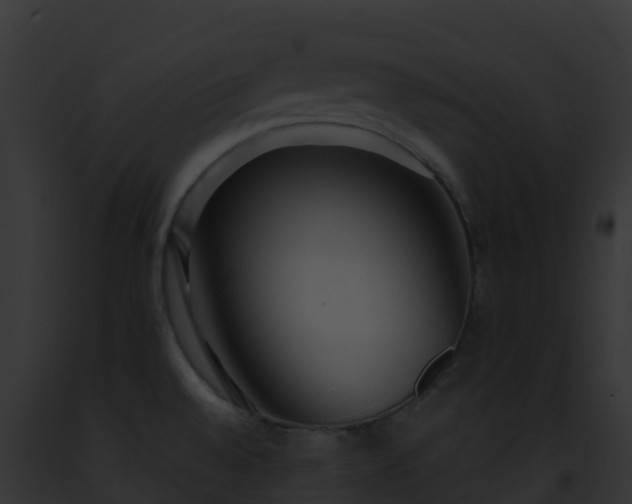 X0000093091528200710031428
