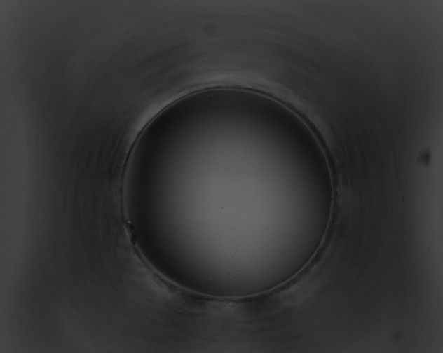 X0000093091529200710031428