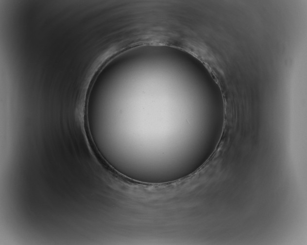 X0000093090003200710031820