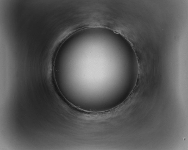 X0000093090005200710031820