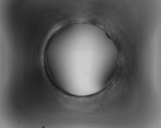 X0000093090006200710031820