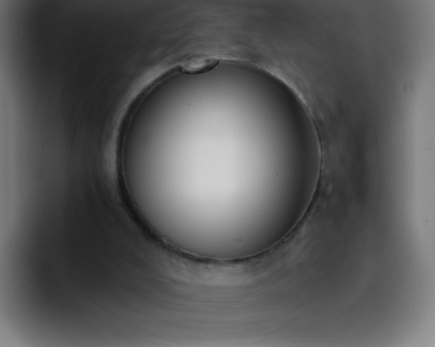 X0000093090008200710031820