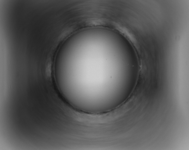 X0000093090010200710031820