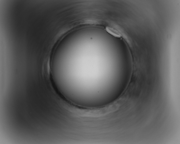 X0000093090011200710031820