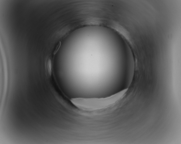 X0000093090013200710031820