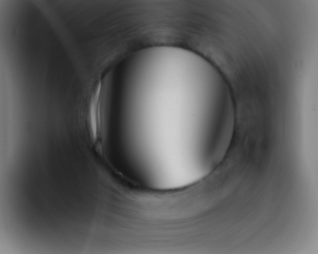 X0000093090017200710031820