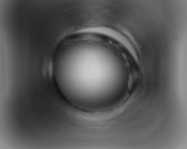 X0000093090019200710031820