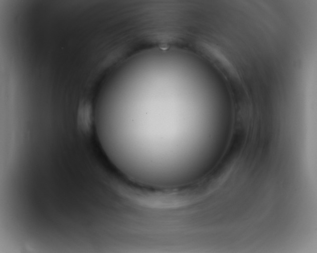 X0000093090024200710031820