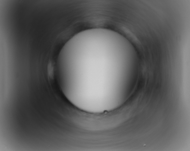 X0000093090026200710031820