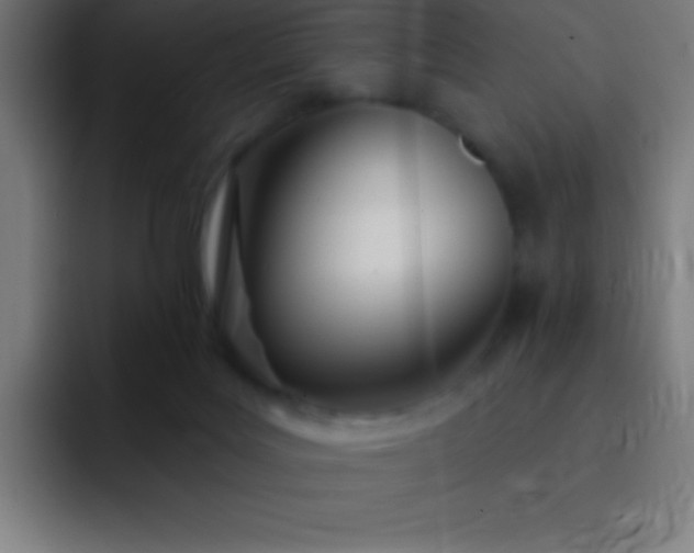 X0000093090027200710031820