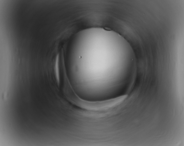 X0000093090029200710031820