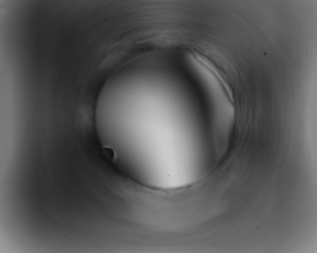 X0000093090035200710031820