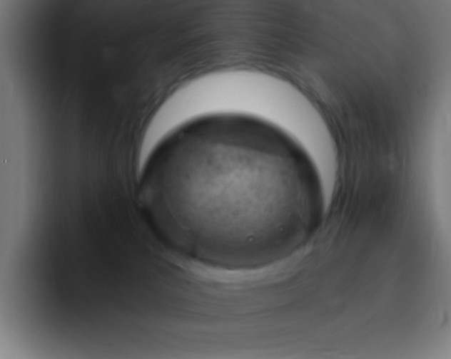 X0000093090039200710031820