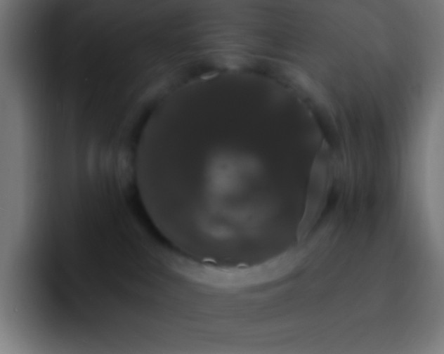 X0000093090043200710031820