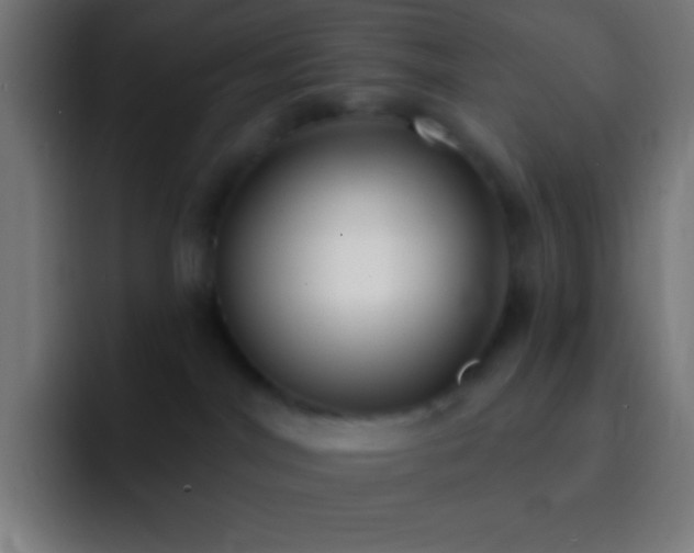 X0000093090044200710031820