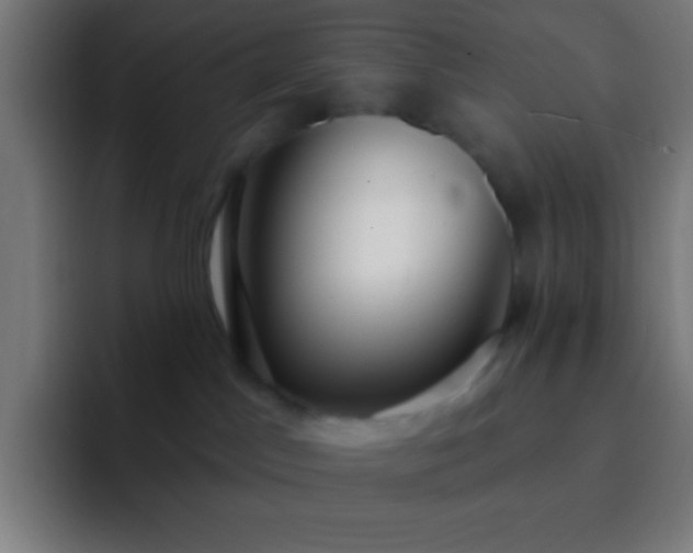 X0000093090045200710031820