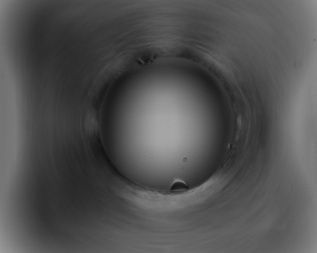 X0000093090048200710031820