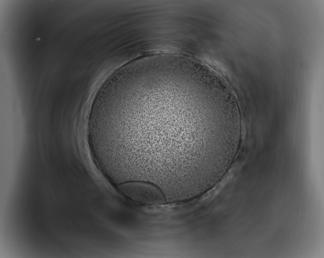 X0000093090049200710031819