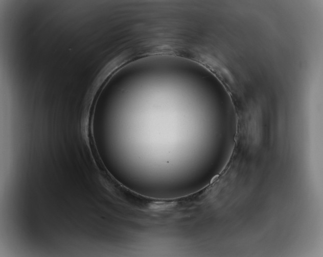 X0000093090051200710031819