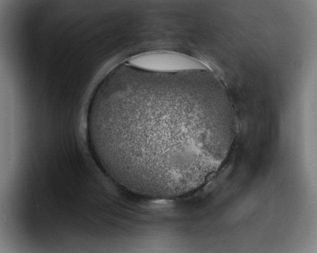 X0000093090053200710031819