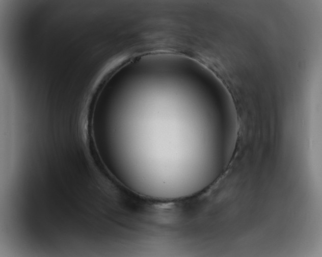 X0000093090054200710031819