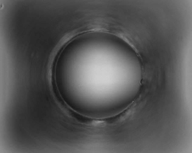 X0000093090055200710031819