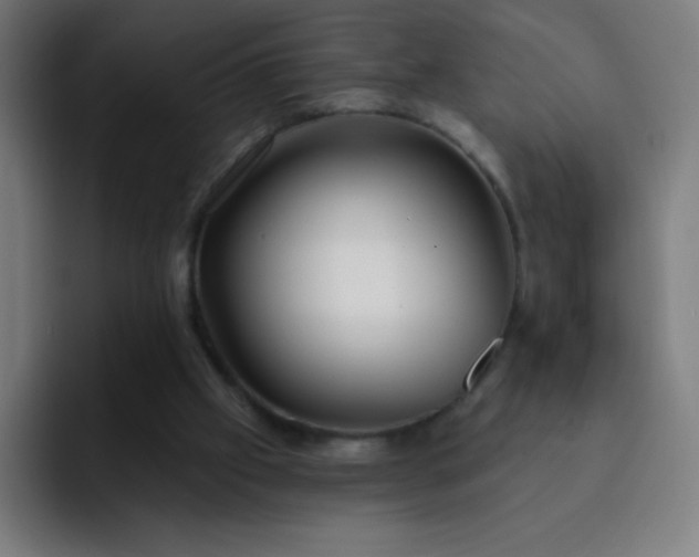 X0000093090057200710031819