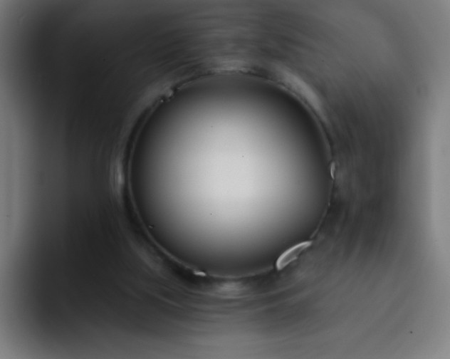 X0000093090059200710031819