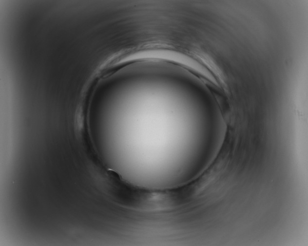 X0000093090060200710031819