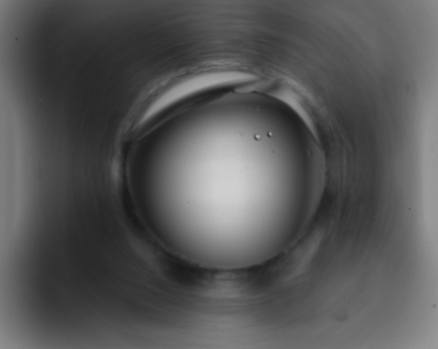 X0000093090064200710031819