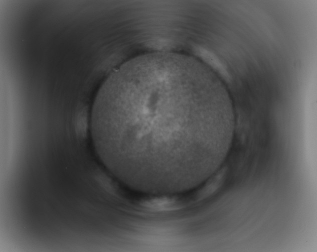 X0000093090065200710031819