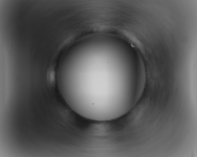 X0000093090067200710031819