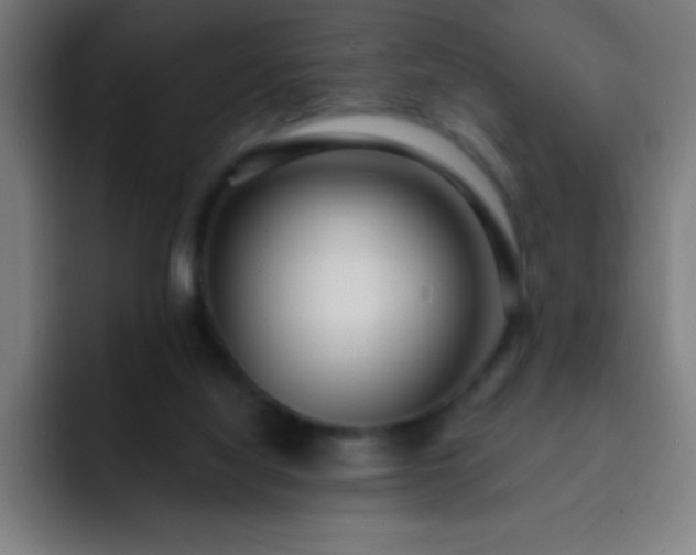 X0000093090068200710031819