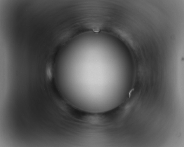 X0000093090069200710031819