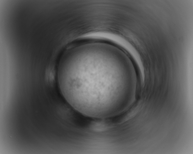 X0000093090072200710031819