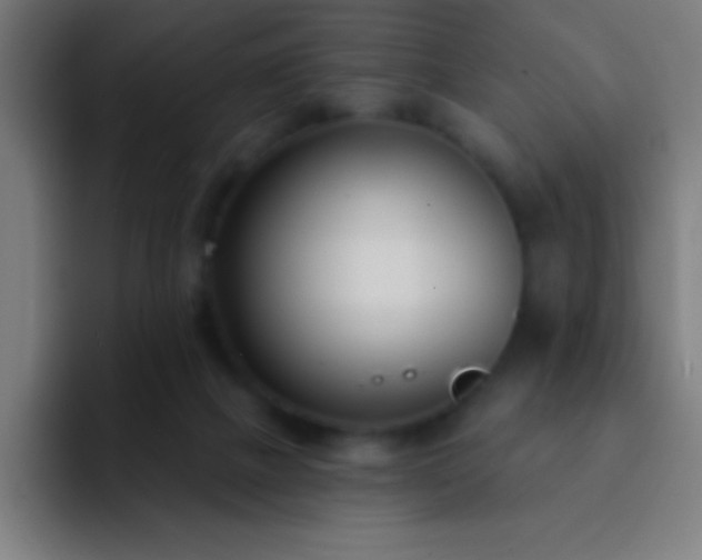 X0000093090073200710031819