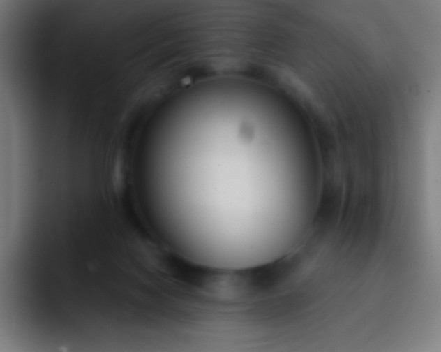 X0000093090074200710031819