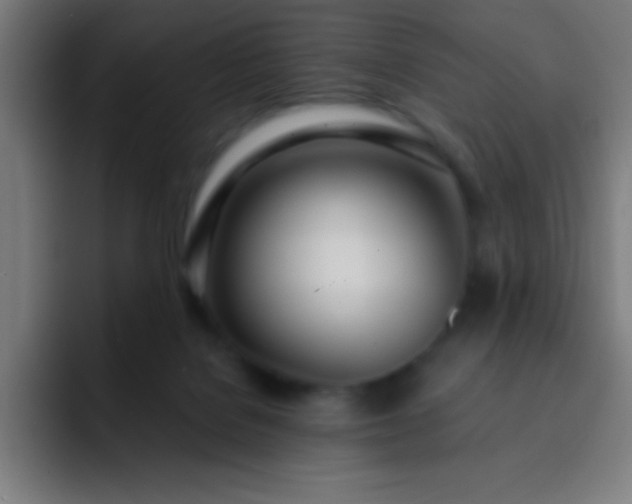 X0000093090076200710031819