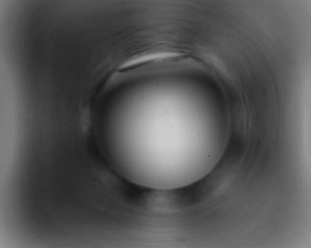 X0000093090077200710031819