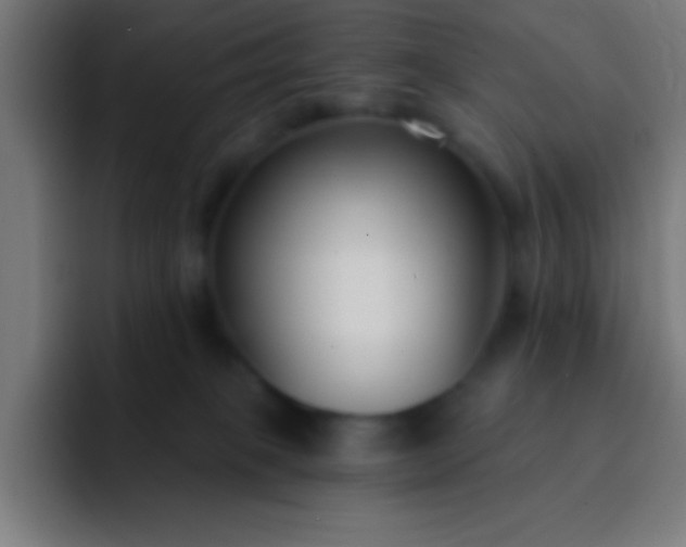 X0000093090085200710031819