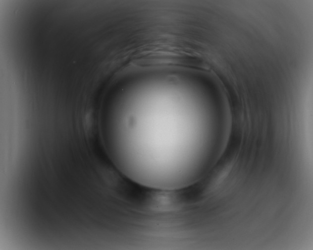 X0000093090088200710031819