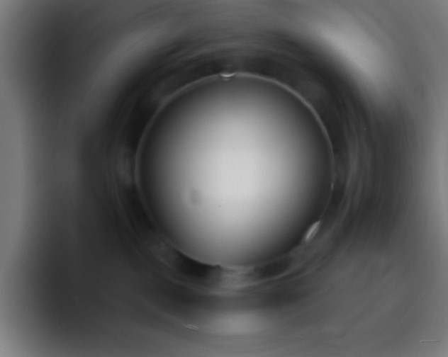 X0000093090093200710031819